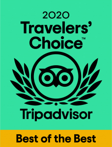 2020 travelers' choice emblem