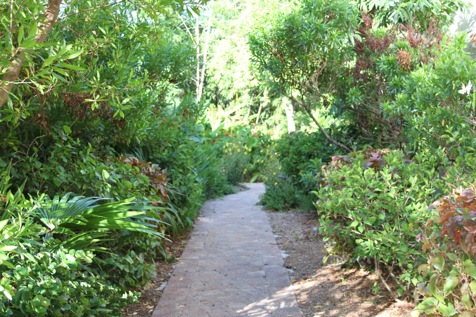 Sanibel Moorings Resort Garden